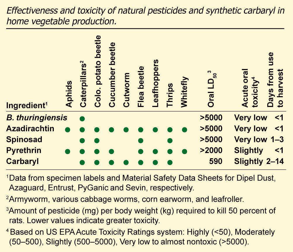 Effectiveness and toxicity of natural insecticides in home vegetable gardening