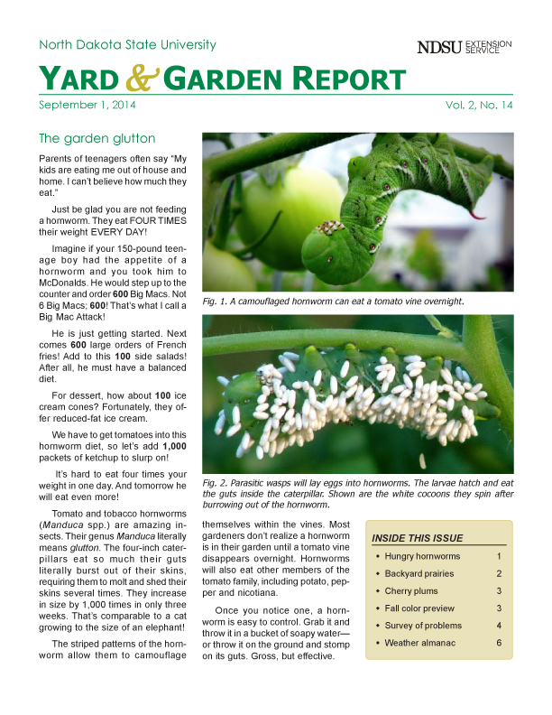 NDSU Yard & Garden Report for September 1, 2014