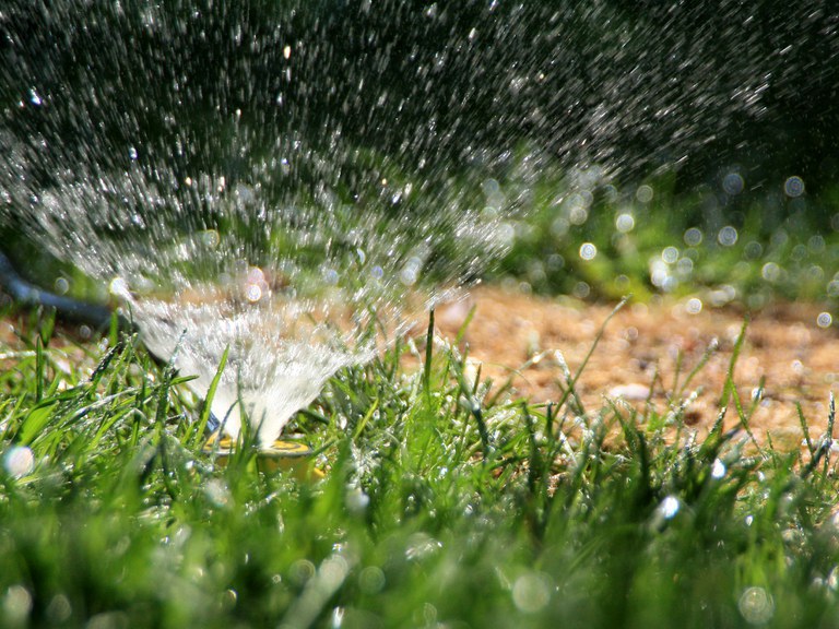 Irrigating lawn seed