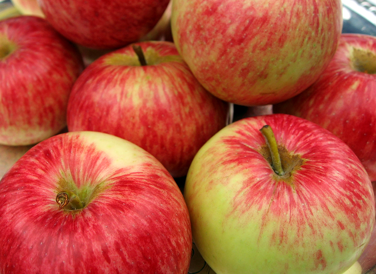 'Duchess of Oldenburg' apple