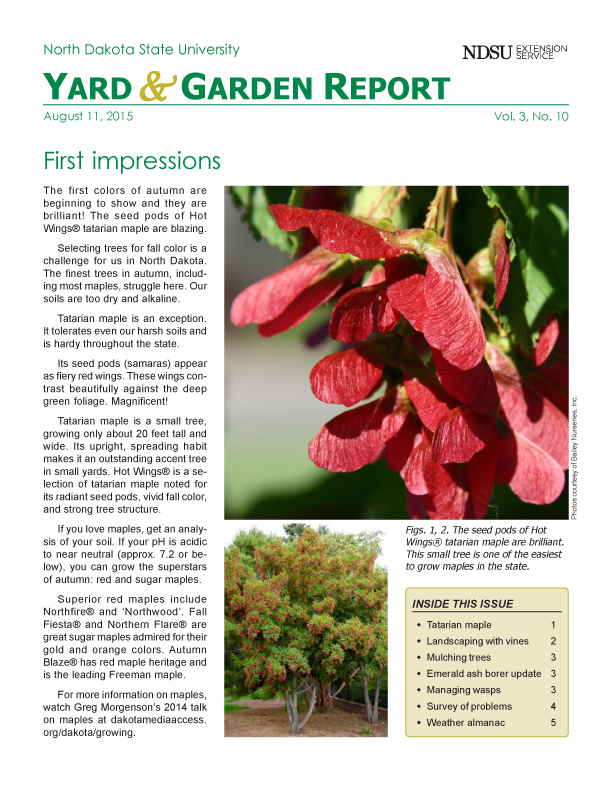 NDSU Yard & Garden Report for August 11, 2015