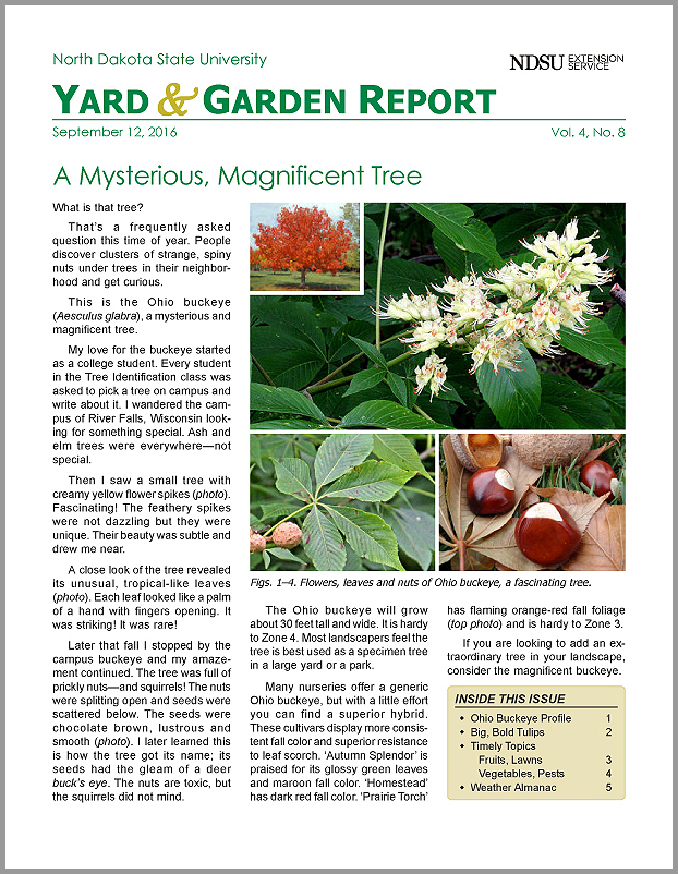 NDSU Yard & Garden Report for September 12, 2016