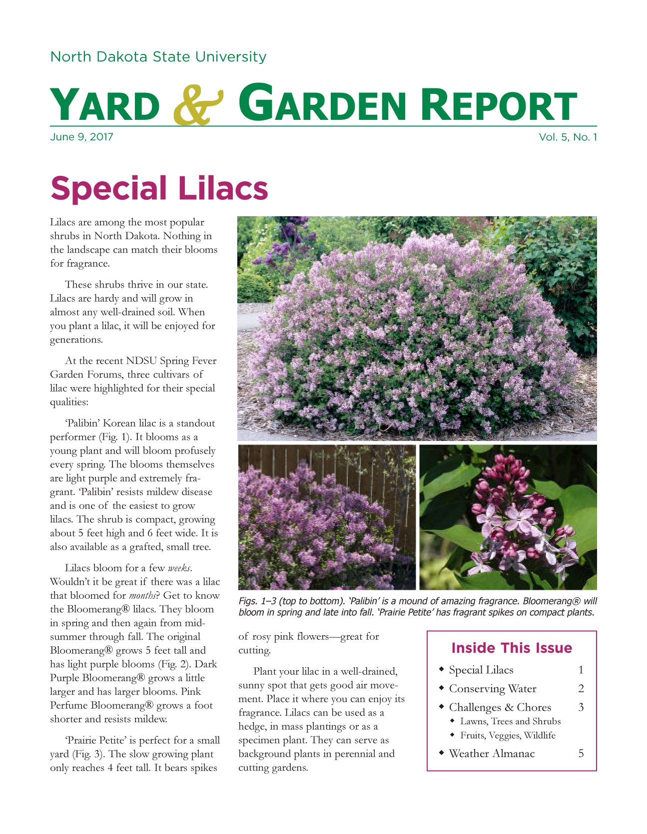 NDSU Yard & Garden Report for June 9, 2017