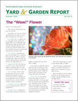 NDSU Yard & Garden Report for November 1, 2020