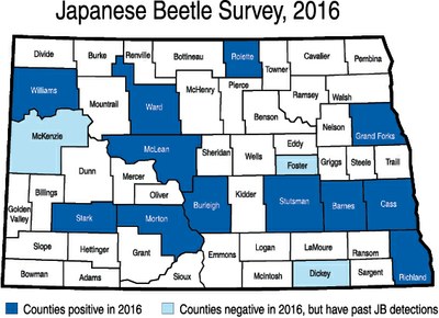 Japanese beetle survey map