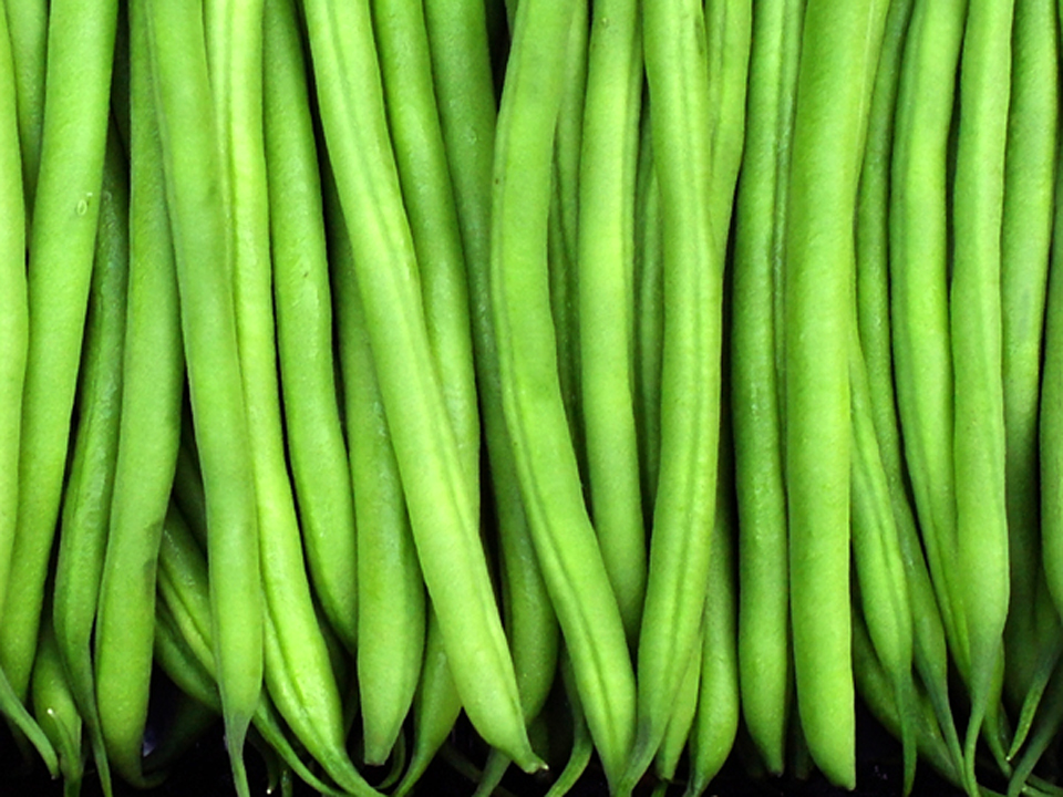Green filet beans