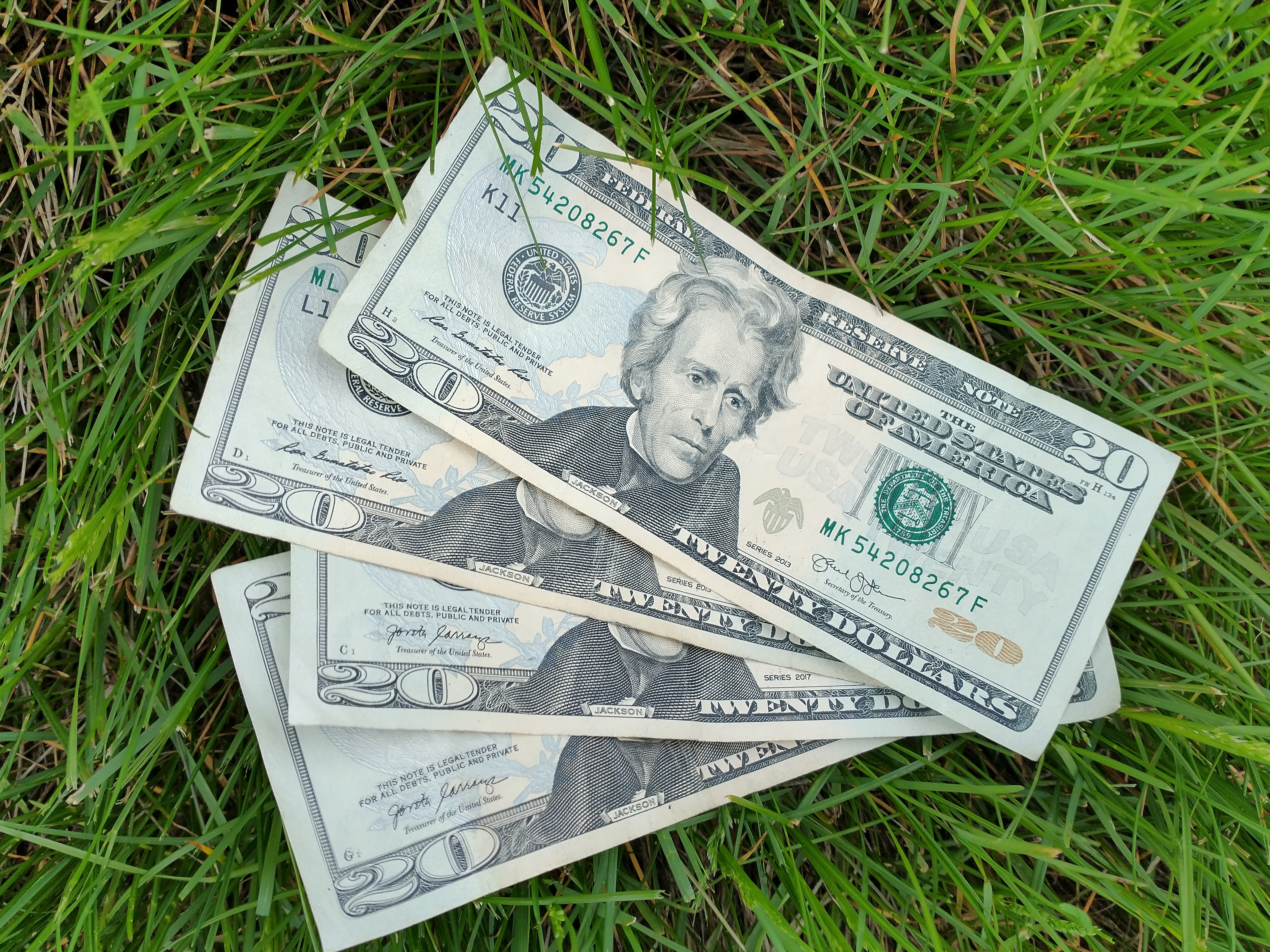 One of the ways to save money on lawn care is to spot-kill weeds versus applying herbicide to your whole lawn. (NDSU photo)