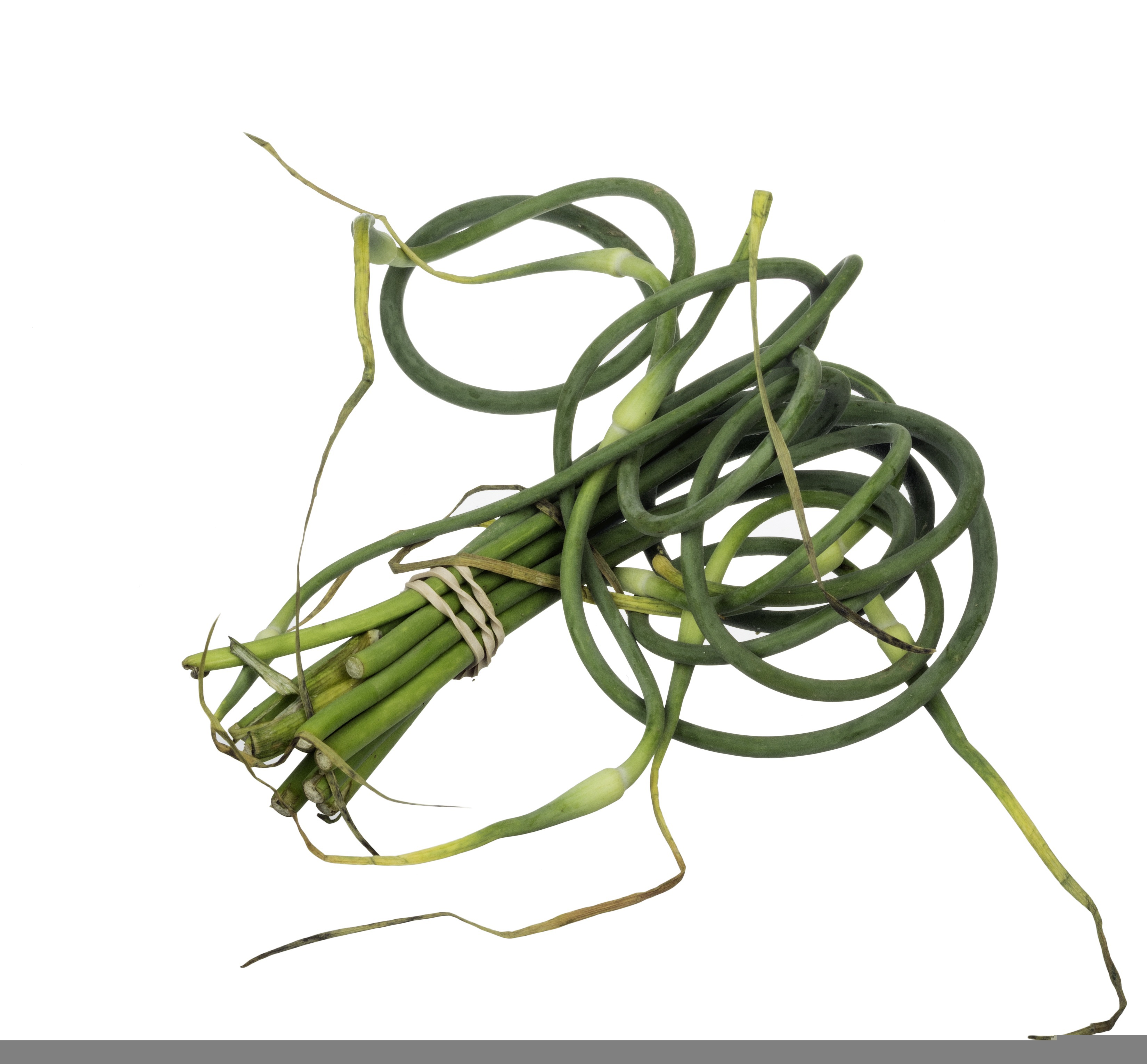 Scapes are the shoots of garlic plants and have a mild garlic flavor. (Pixabay photo)