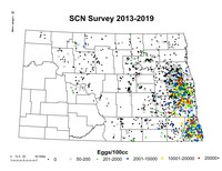 An annual statewide soybean cyst nematode sampling program has led to the development of a detailed SCN distribution map. (NDSU)