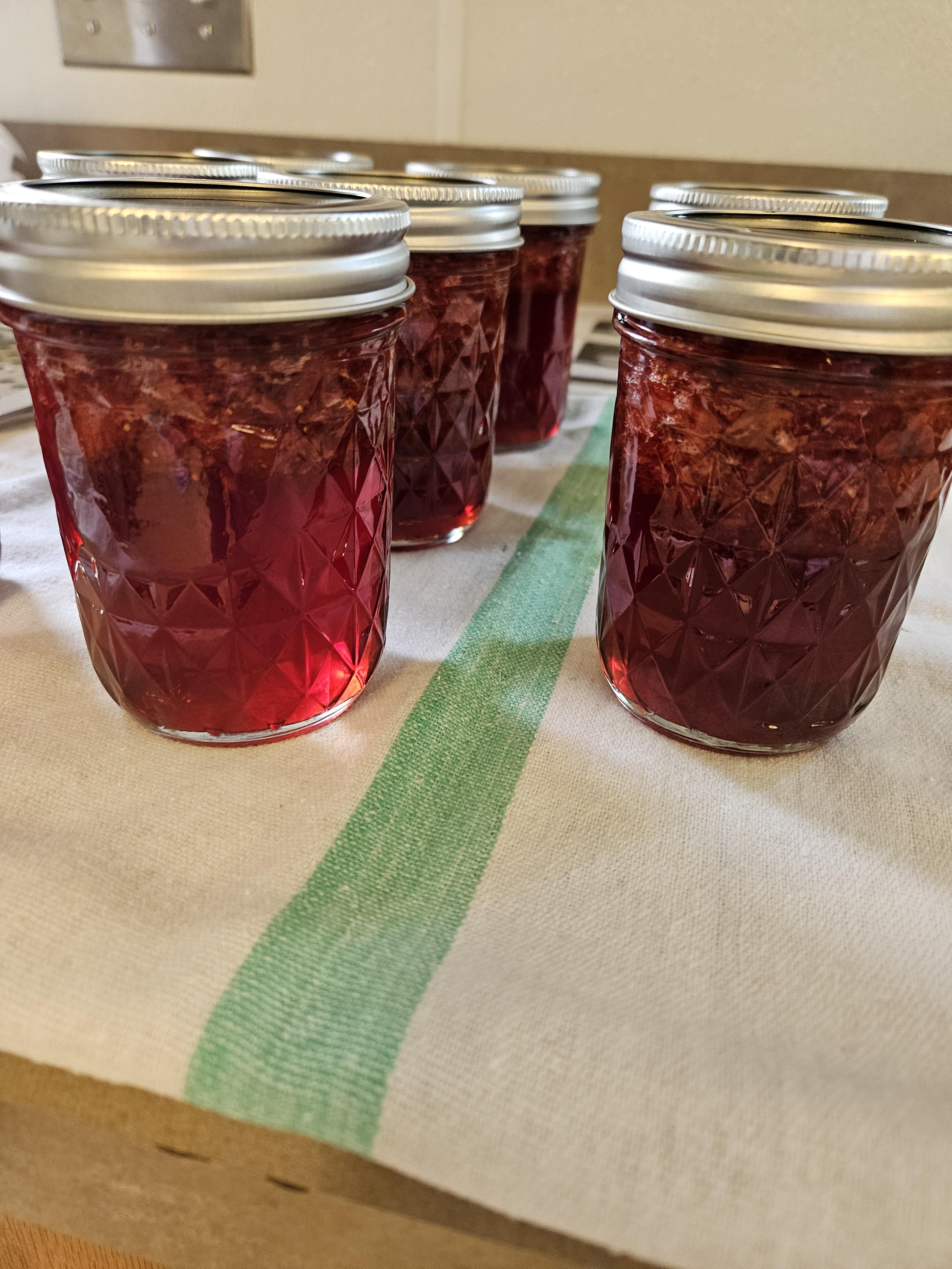 The curriculum covers how to safely preserve different types of food including salsa, jelly, sauerkraut, meats and vegetables. (NDSU photo)