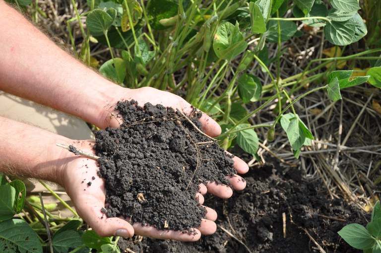 In addition to soil health presentations, multiple field stations will be available for viewing. (NDSU photo)