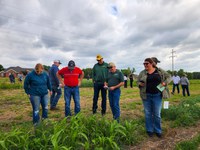 Topics for the NDSU North Central Research Extension Center field day include cover crops, forage production, insect issues, weed control and agricultural technologies. (NDSU photo)