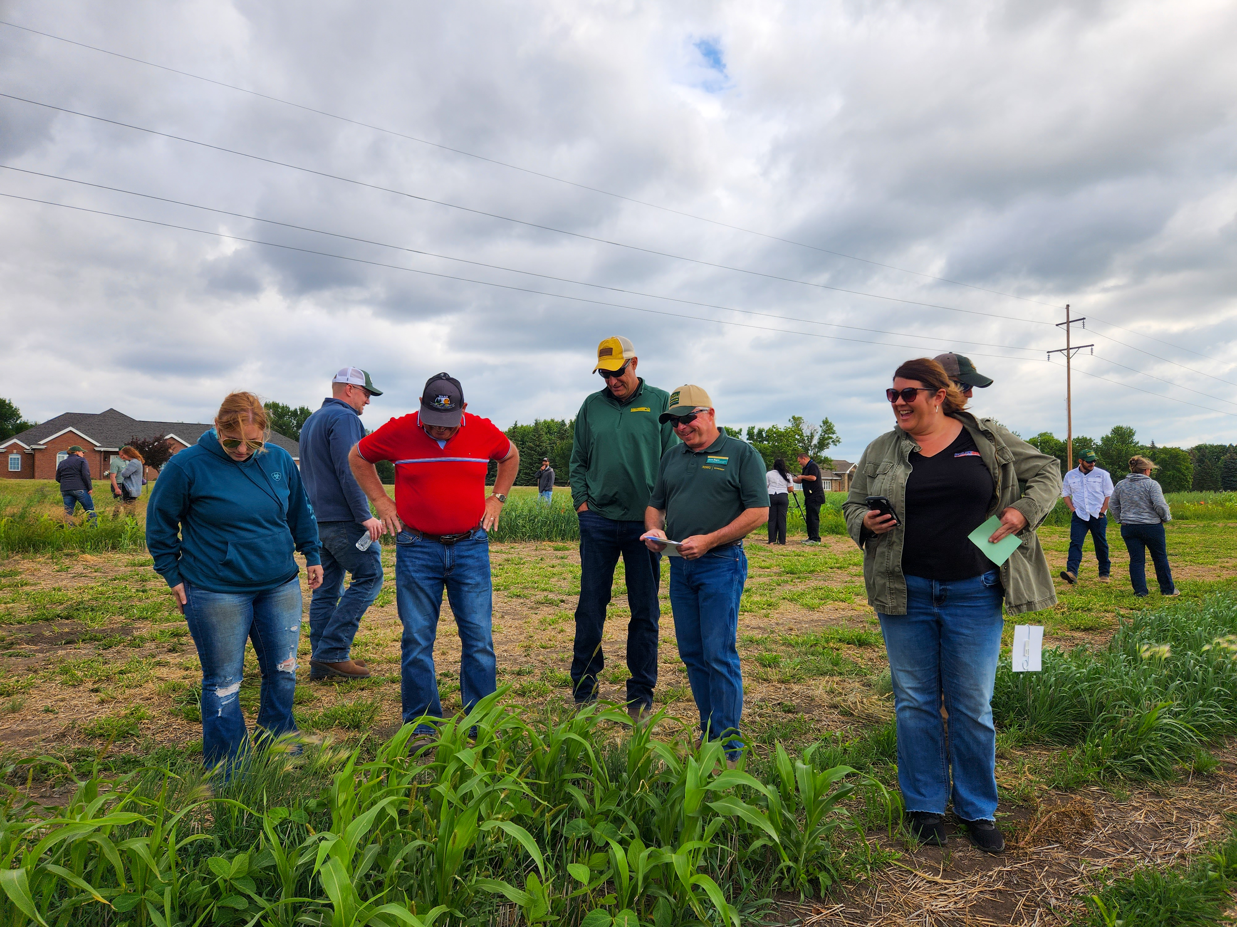 Topics for the NDSU North Central Research Extension Center field day include cover crops, forage production, insect issues, weed control and agricultural technologies. (NDSU photo)