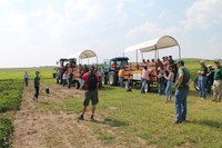 Timely, cutting-edge information focused on the agricultural issues facing the region's farmers and ranchers will highlight the respective field days. (NDSU photo)