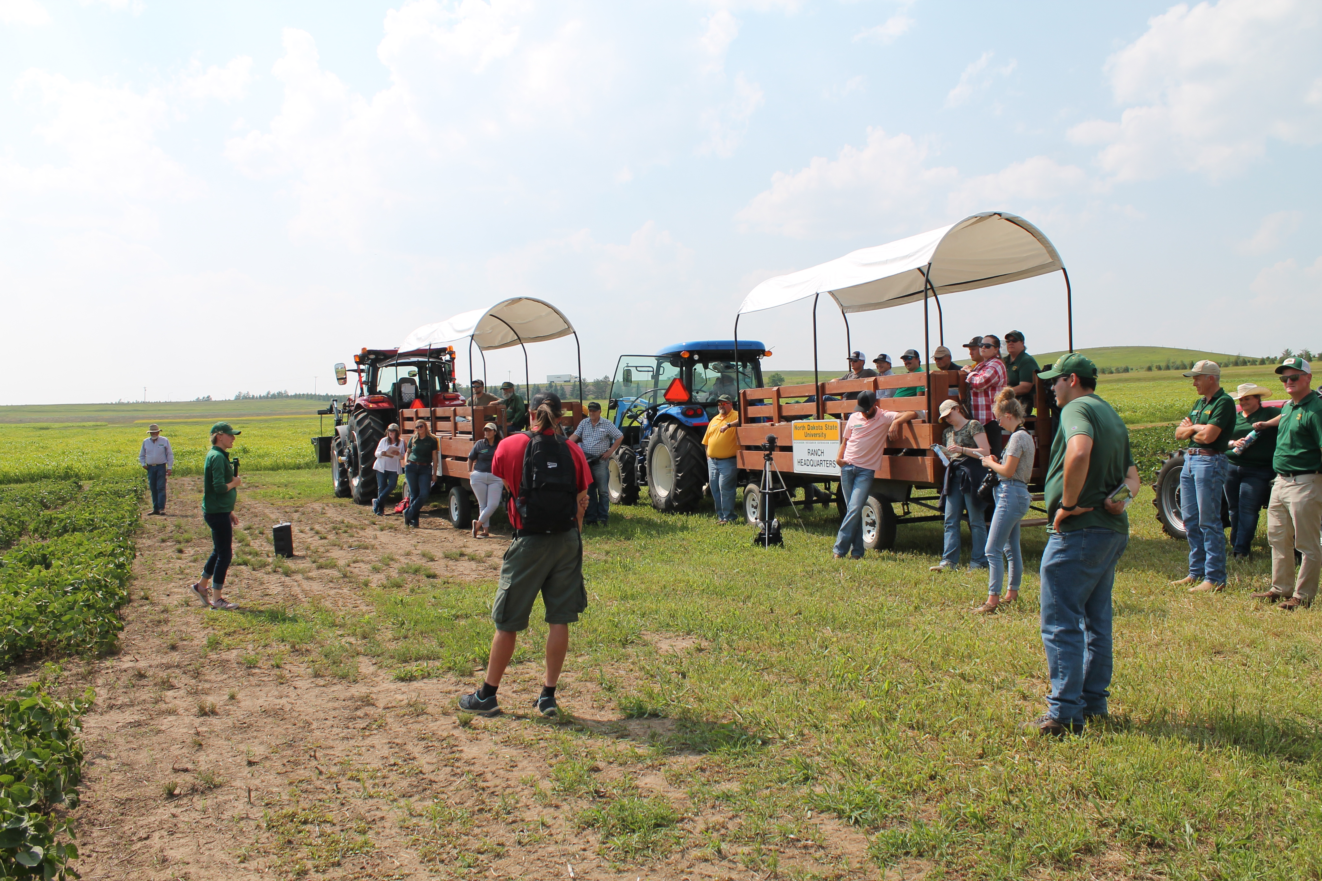 Timely, cutting-edge information focused on the agricultural issues facing the region's farmers and ranchers will highlight the respective field days. (NDSU photo)