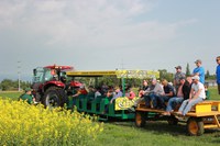 Pea and canola production, canola disease management and carbon credits for farmers are a few of the featured topics at the LREC annual field day on July 18. (NDSU photo)