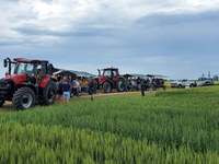 Wheat, soybeans, crop diseases and pests, and soil fertility are among the topics for the annual field tour set for July 15 at the NDSU Agronomy Seed Farm. (NDSU photo)