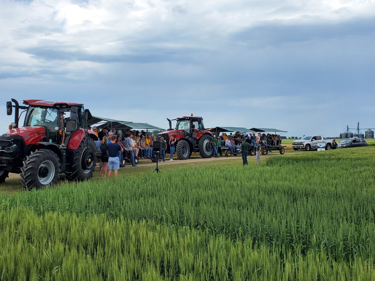 Wheat, soybeans, crop diseases and pests, and soil fertility are among the topics for the annual field tour set for July 15 at the NDSU Agronomy Seed Farm. (NDSU photo)