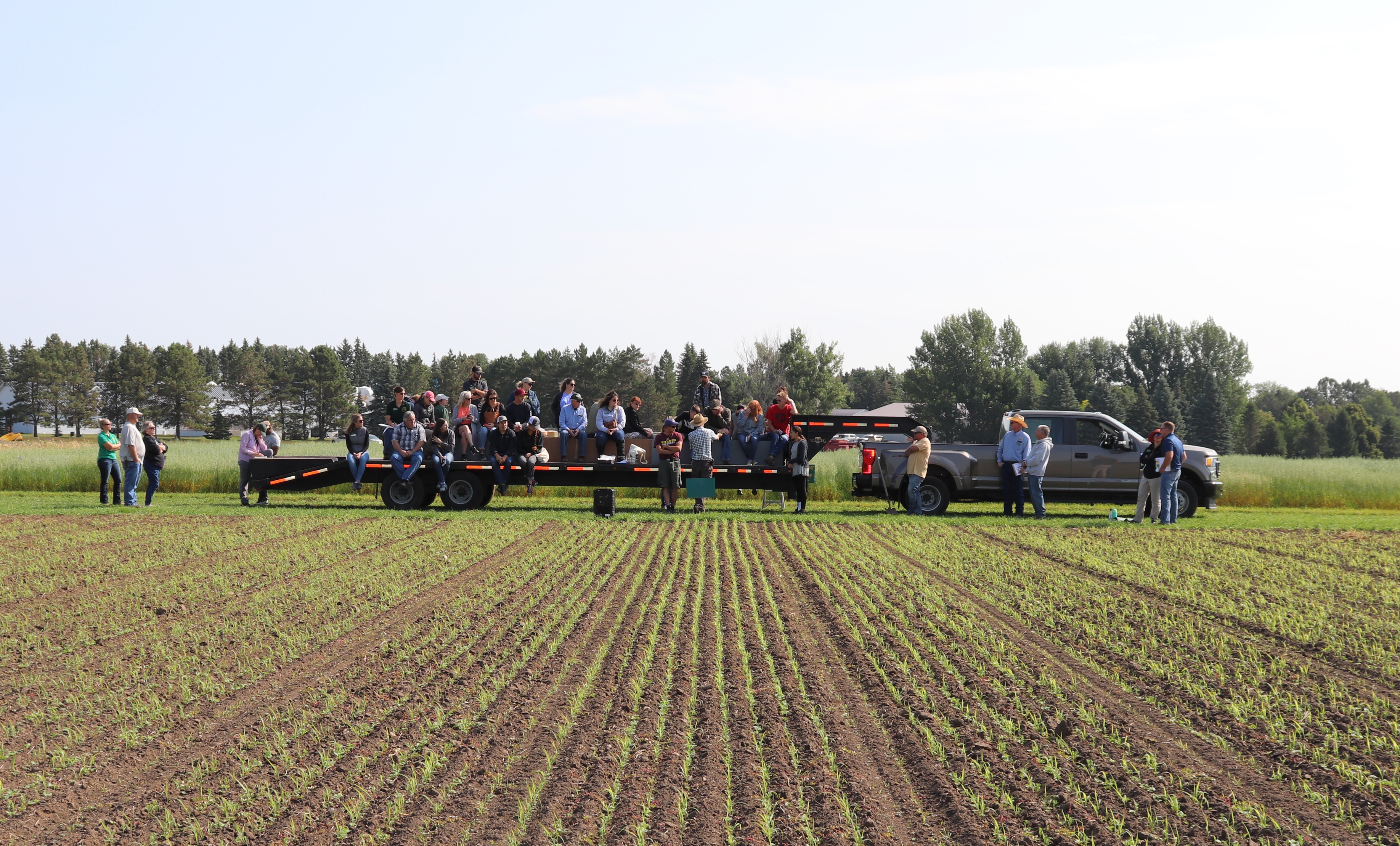 Participants at the NDSU Carrington Research Extension Center Field Day receive expert guidance from NDSU’s leading researchers during a variety of tours and demonstrations. (NDSU photo)