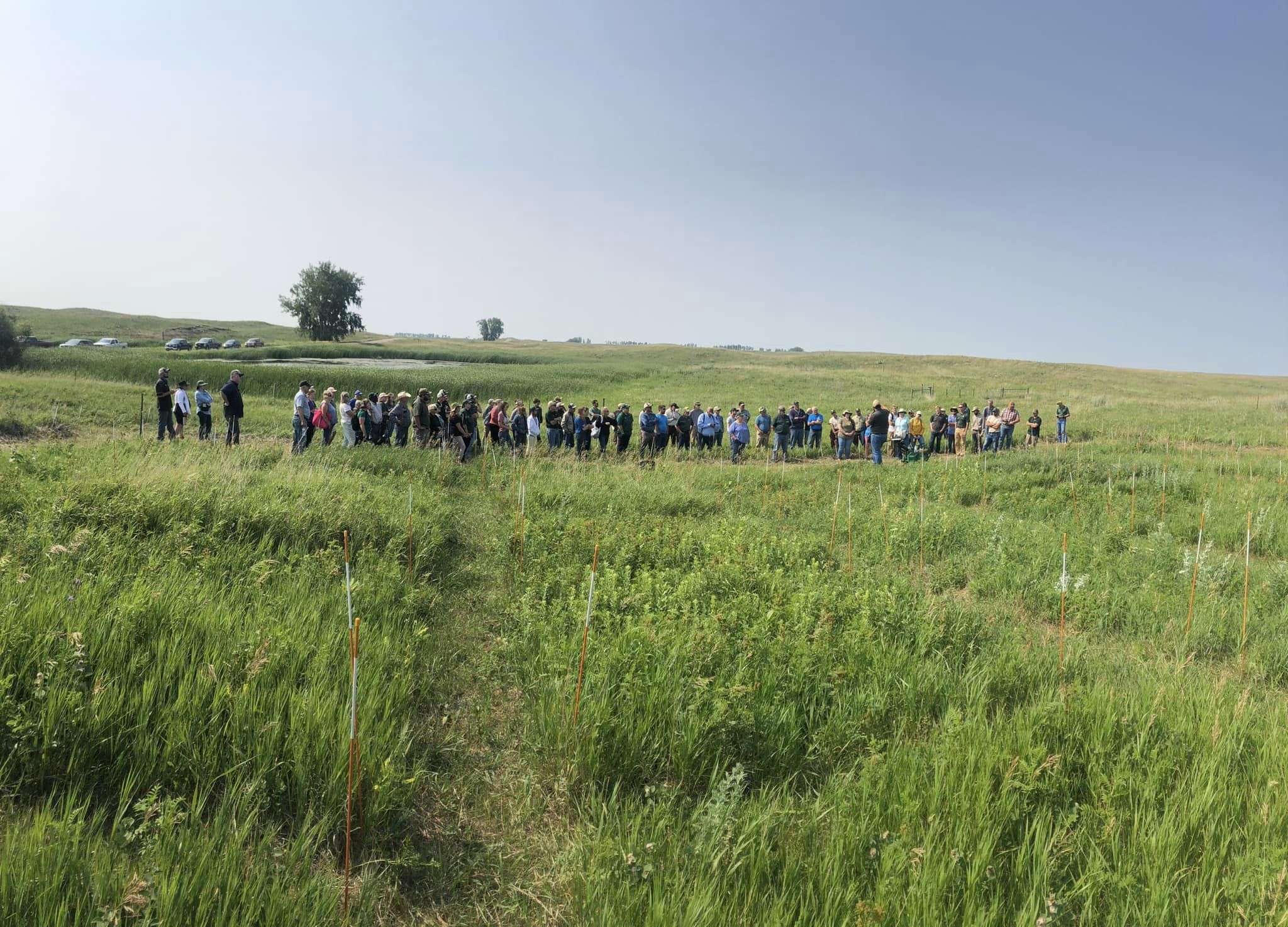Participants will experience the latest range and grazing research at the NDSU Central Grasslands Research Extension Center Field Day. (NDSU photo)