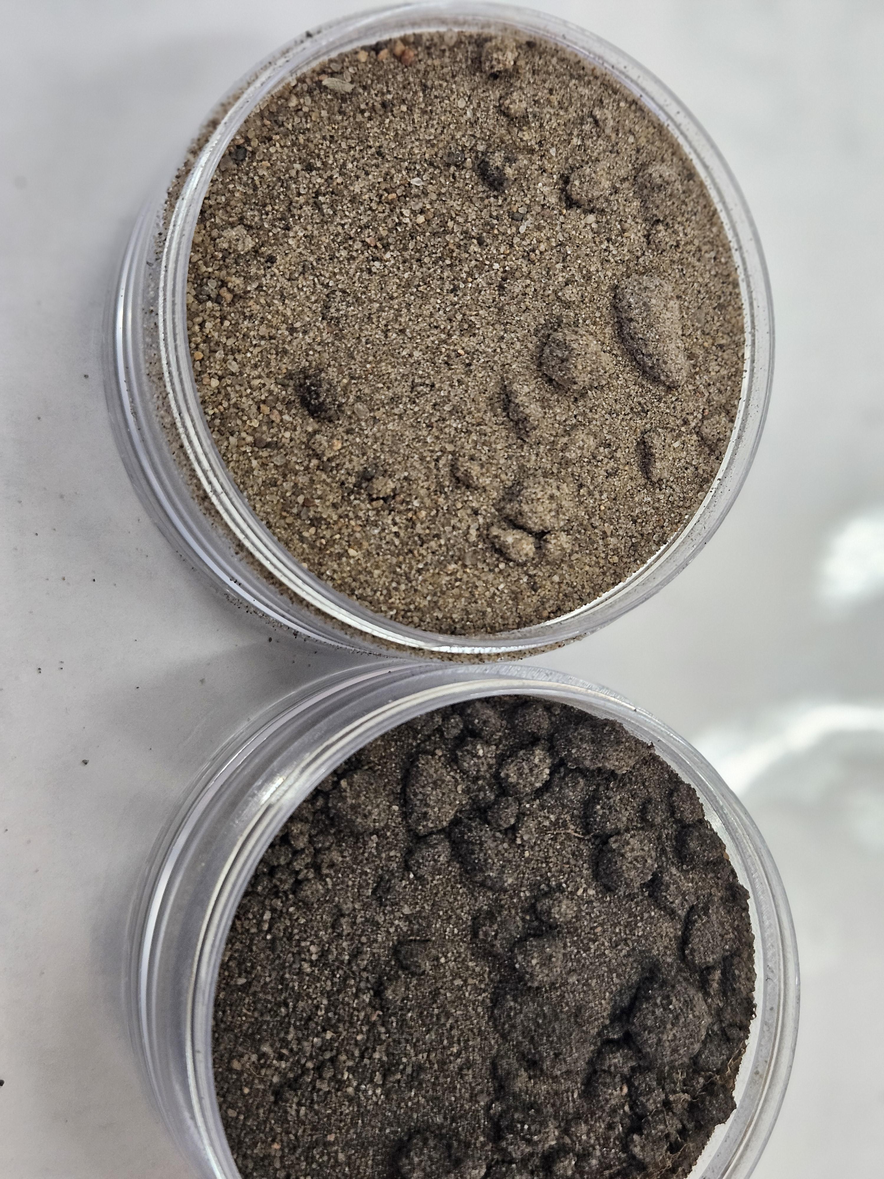 The above soil sample has less soil organic matter than the bottom soil sample due to management. (NDSU photo)