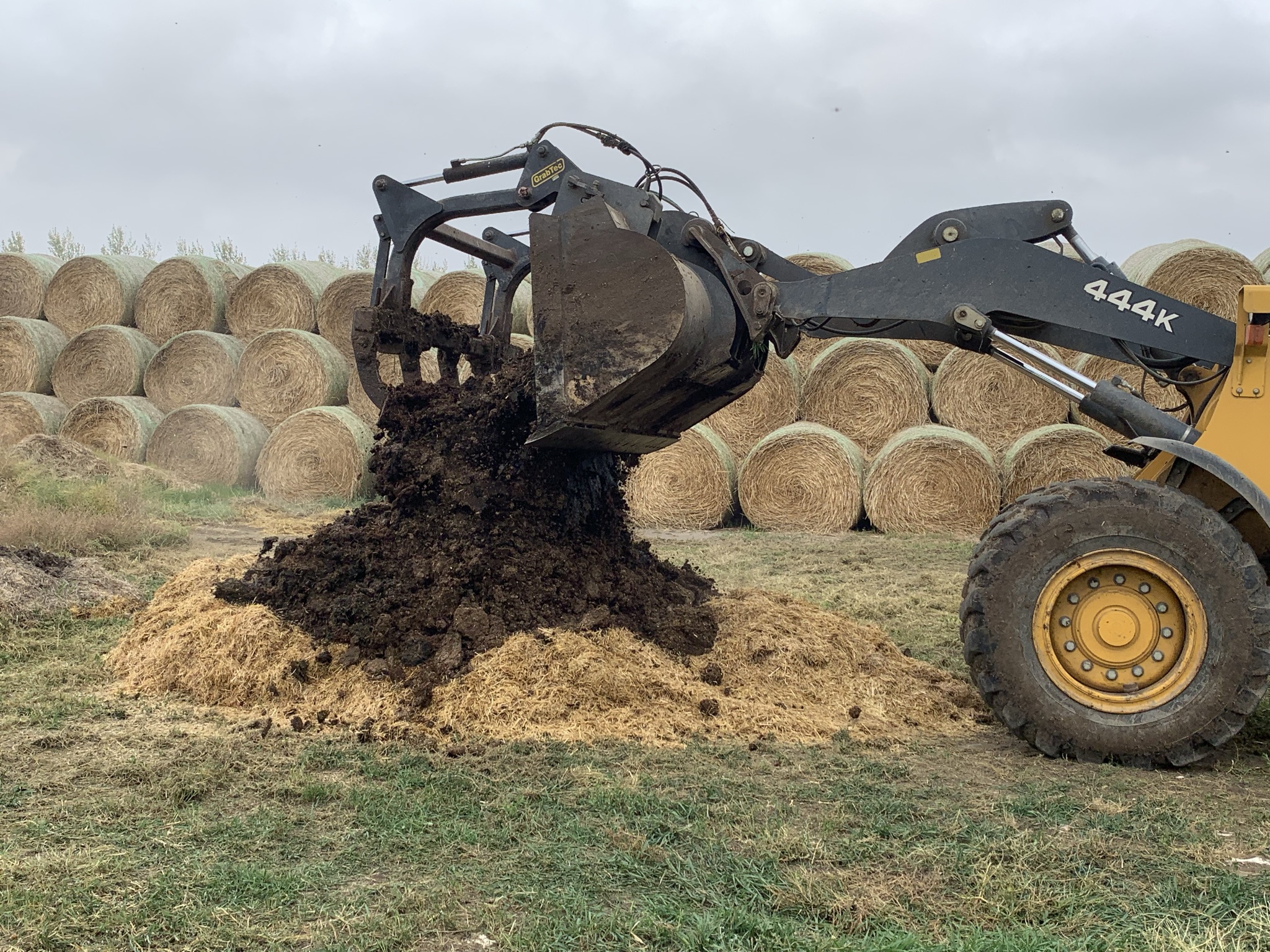 Covering dead livestock with 8 to 10 inches of bulking materials is one of the proper steps in composting an animal. Burial, composting, landfilling, incineration and rendering are all approved methods of carcass disposal. (NDSU photo)