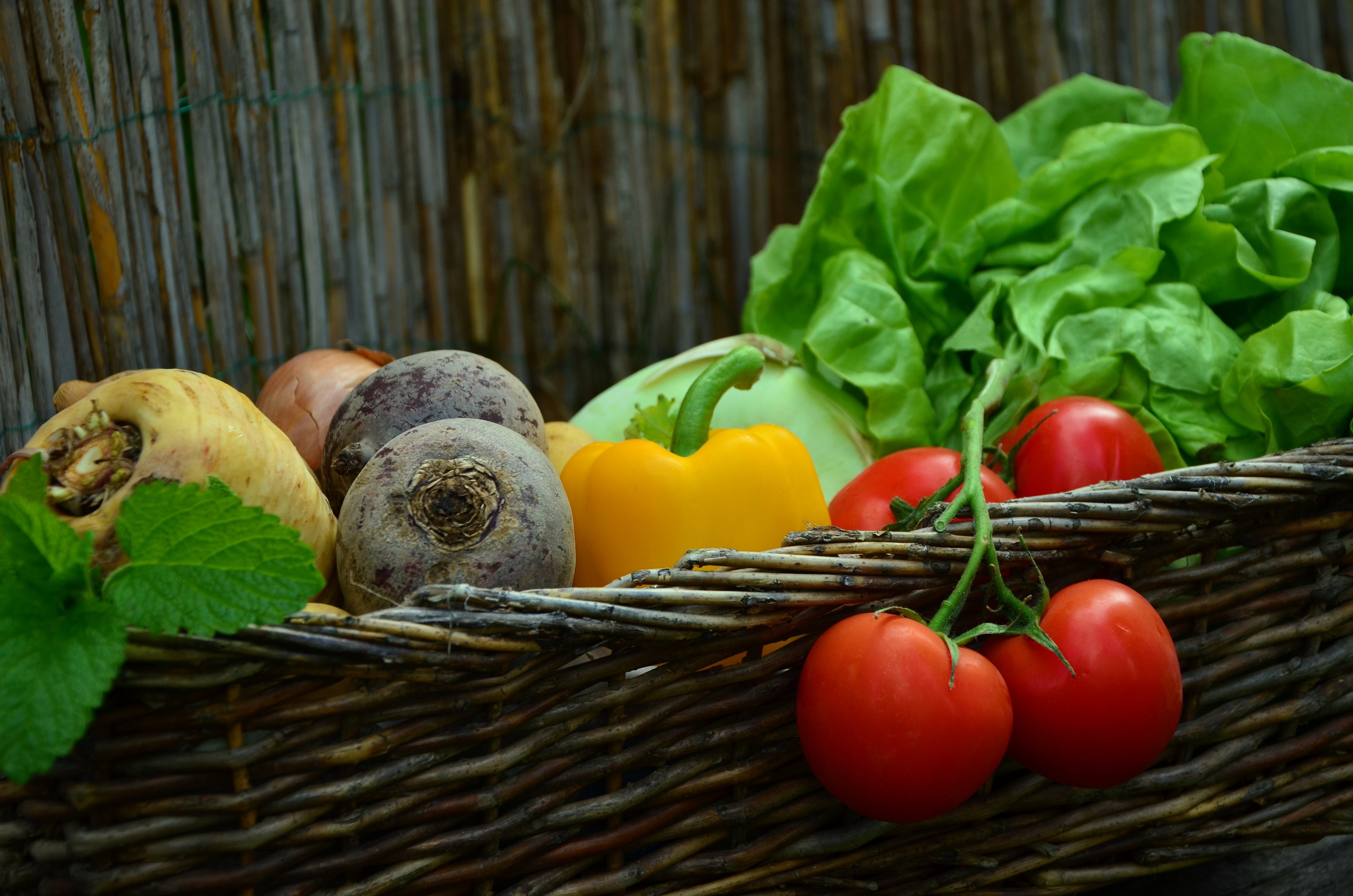 NDSU Extension Master Gardener course topics include vegetable and fruit production, soil health, composting, plant diseases and insects, annual and perennial flowers, tree selection and maintenance, landscape design and more. (Photo by PX Here)