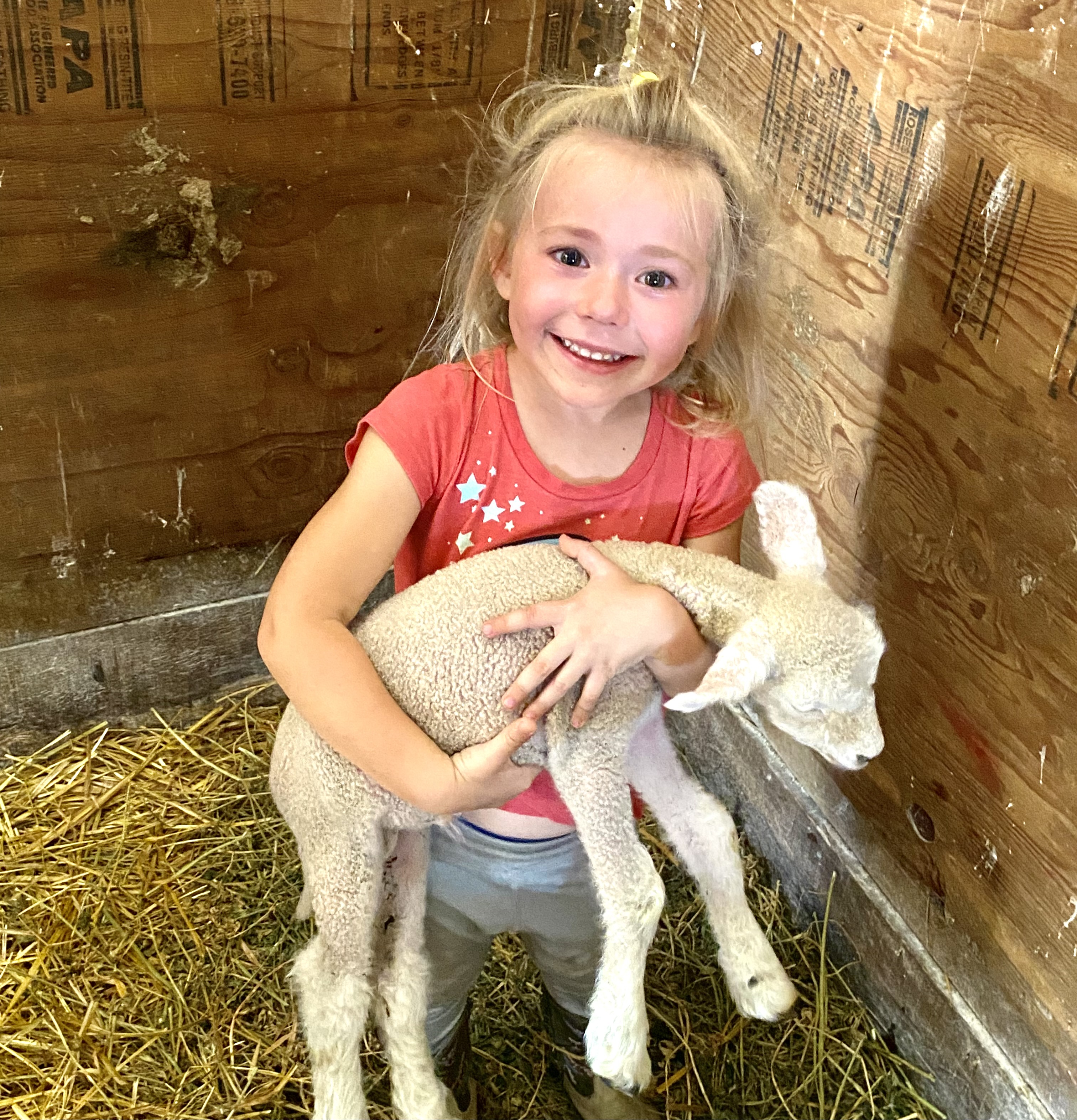 During the workshop,10 young producers will pick up their new Rambouillet yearling ewes as part of the North Dakota Starter Flock program