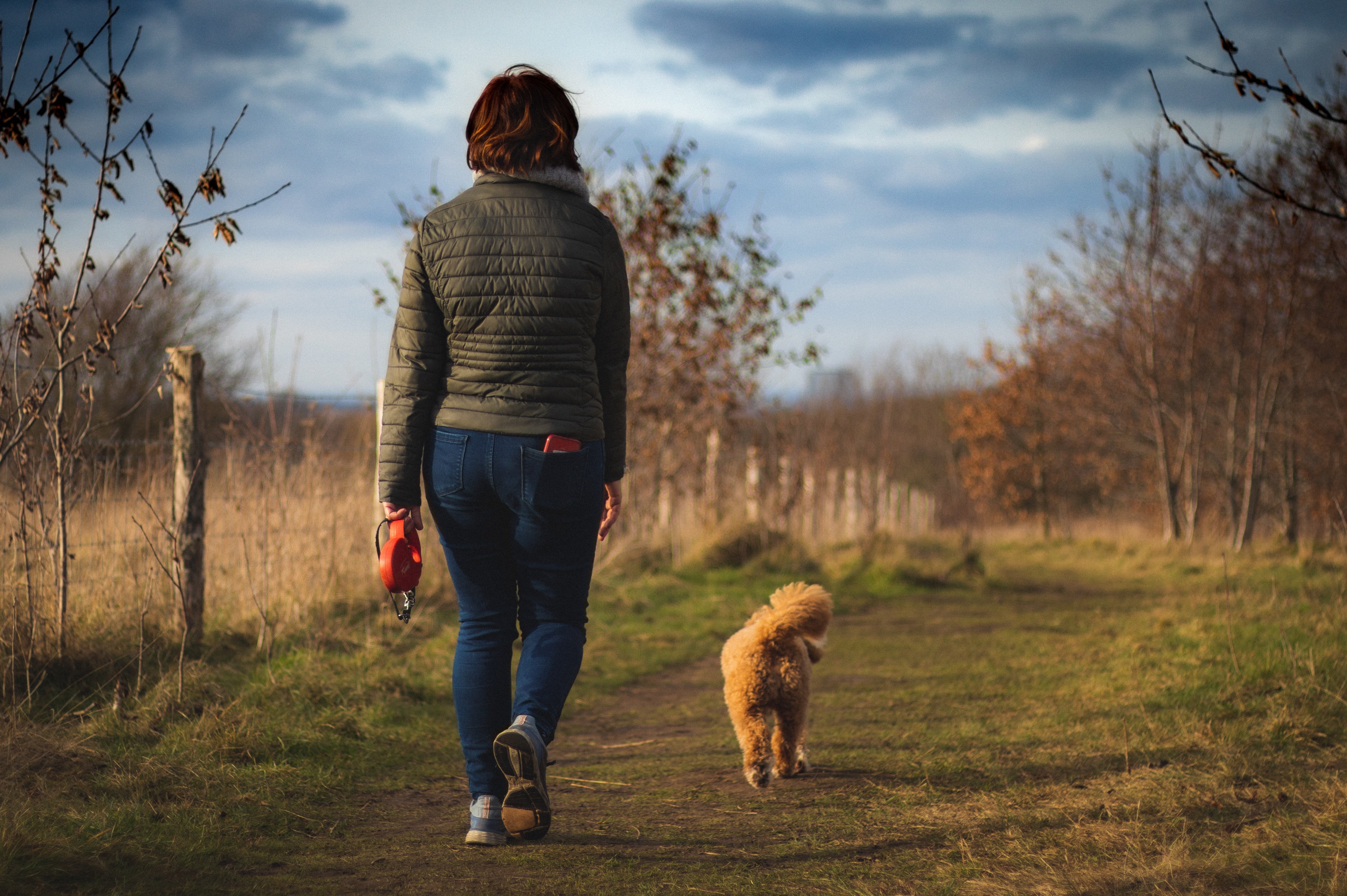 NDSU Extension’s Nourish program has seven new online modules, including one on pets and their impact on our health. (Pixabay photo)