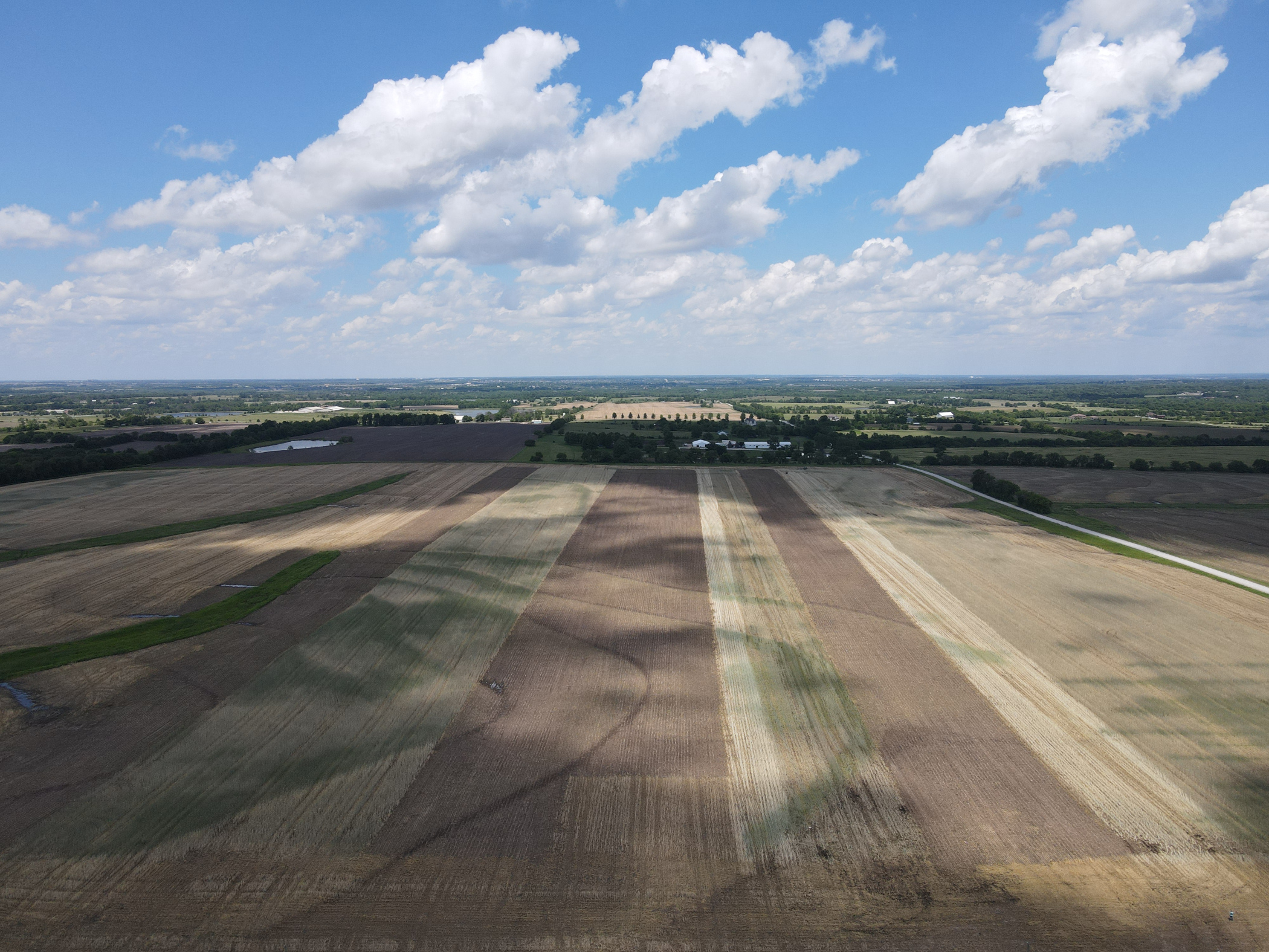 Qualifying on-farm plots are used in a soil health research project. (NDSU photo)