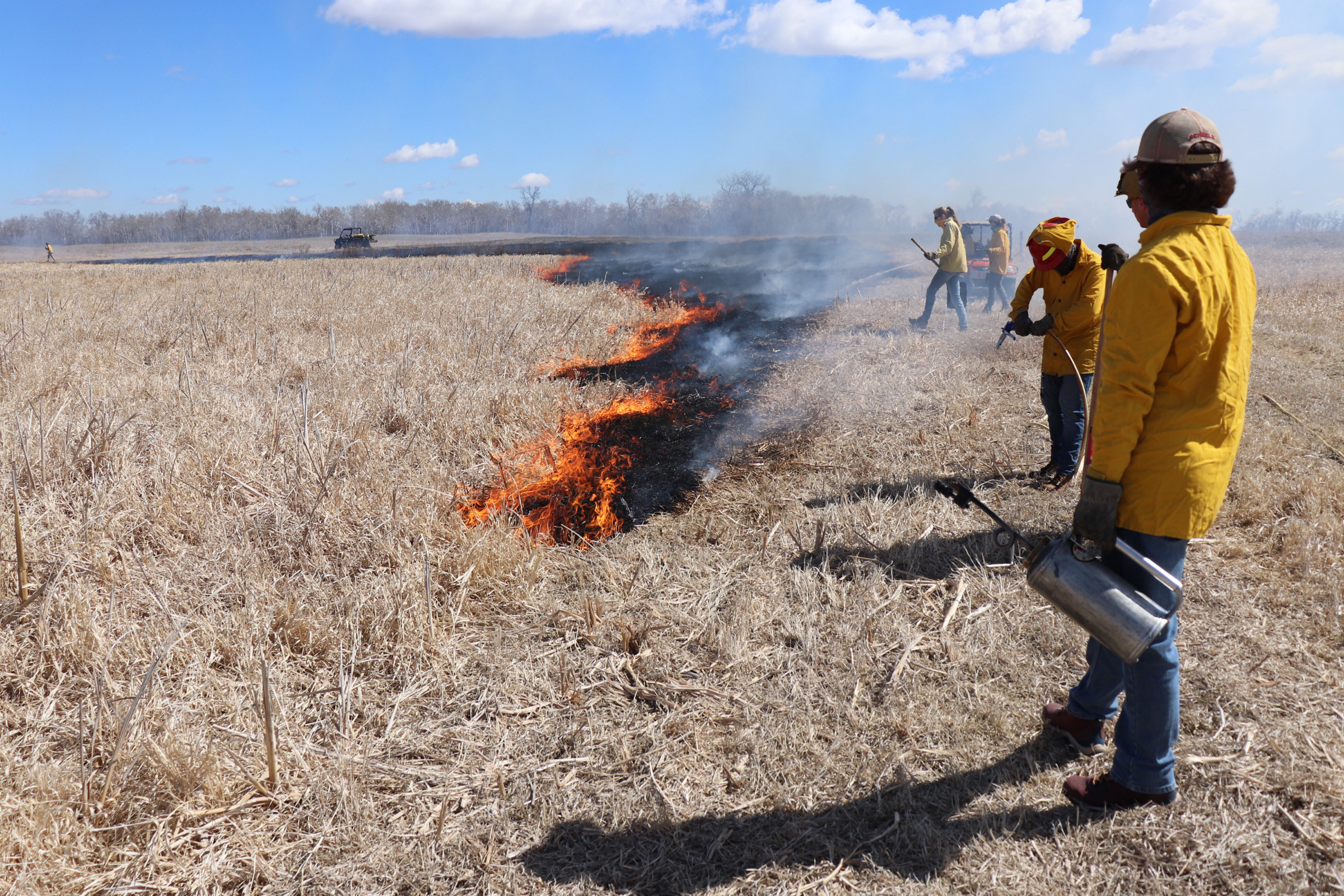 Speakers will provide the latest science on burning and grazing in the Northern Plains, including the role of burning with grazing on wildlife habitat, forage quality and cattle performance. (NDSU photo)
