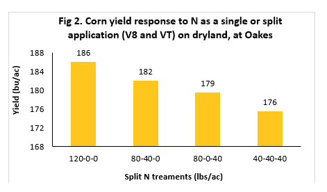 Chart showing Corn yield response to N as a single or split application (V8 and VT) on dryland, at Oakes