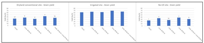 Graphs shwoing grain yield by treatment from the conventional dryland, conventional irrigated, and no-till dryland sites.