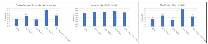 Graphs showing grain protein by treatment from the conventional dryland, conventional irrigated and no-till dryland sites.