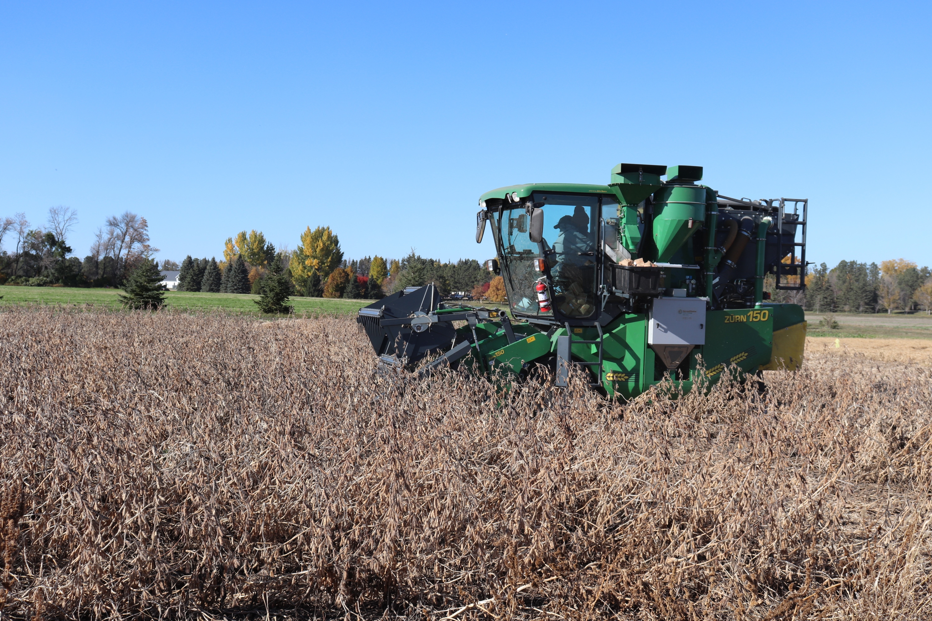 Harvest of soybeans in the peroxide-based products evaluation.