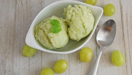 photograph of green grape sorbet in a dish with a spoon
